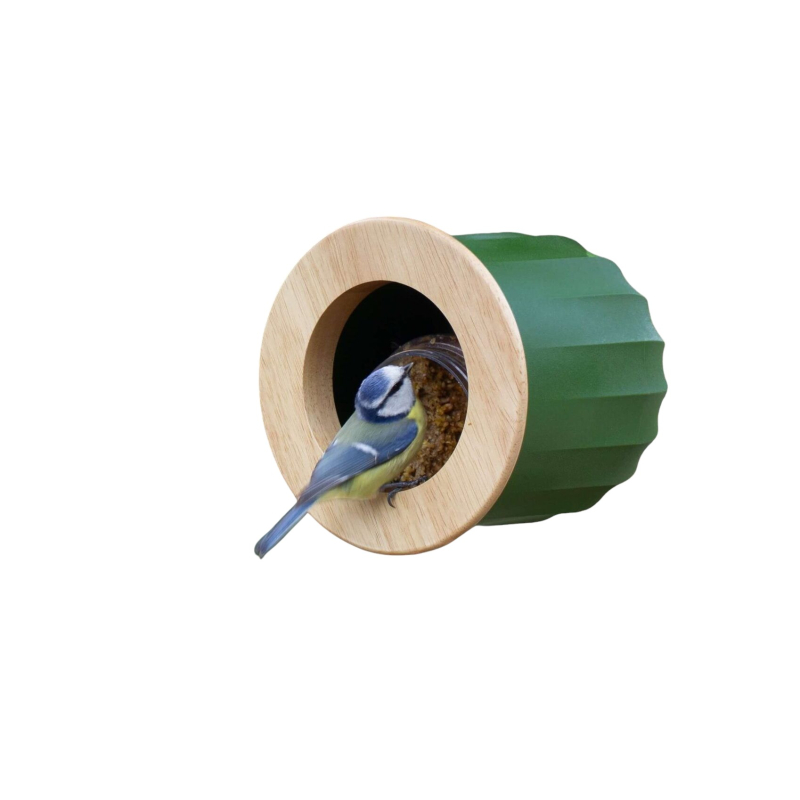 cactus vogel- en voederhuisje